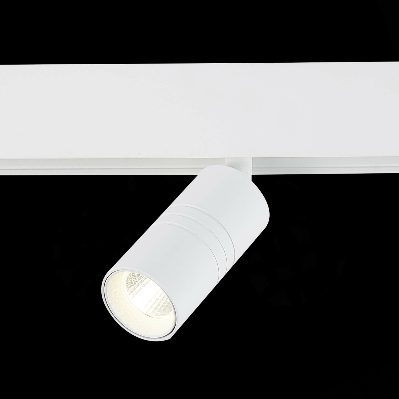 Изображение товара Магнитный трековый светильник белый LED 1*7W 4000K ST365.546.07 SKYLINE 48 ST LUCE