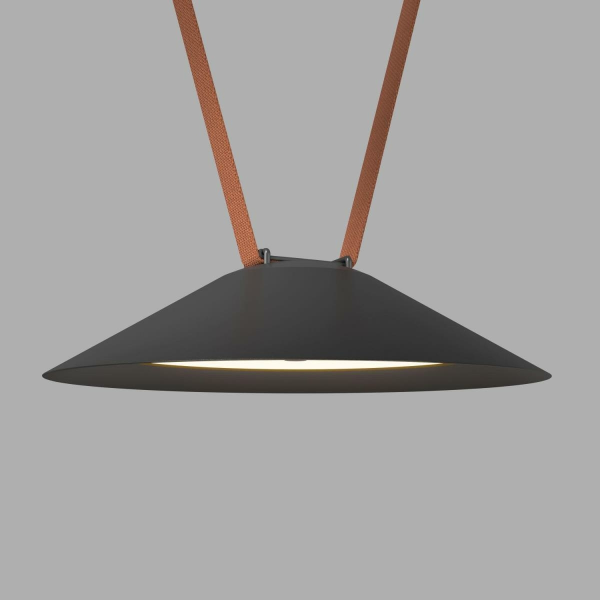 Изображение товара Трековый светильник DK5565-BK FLOW BELTY Denkirs