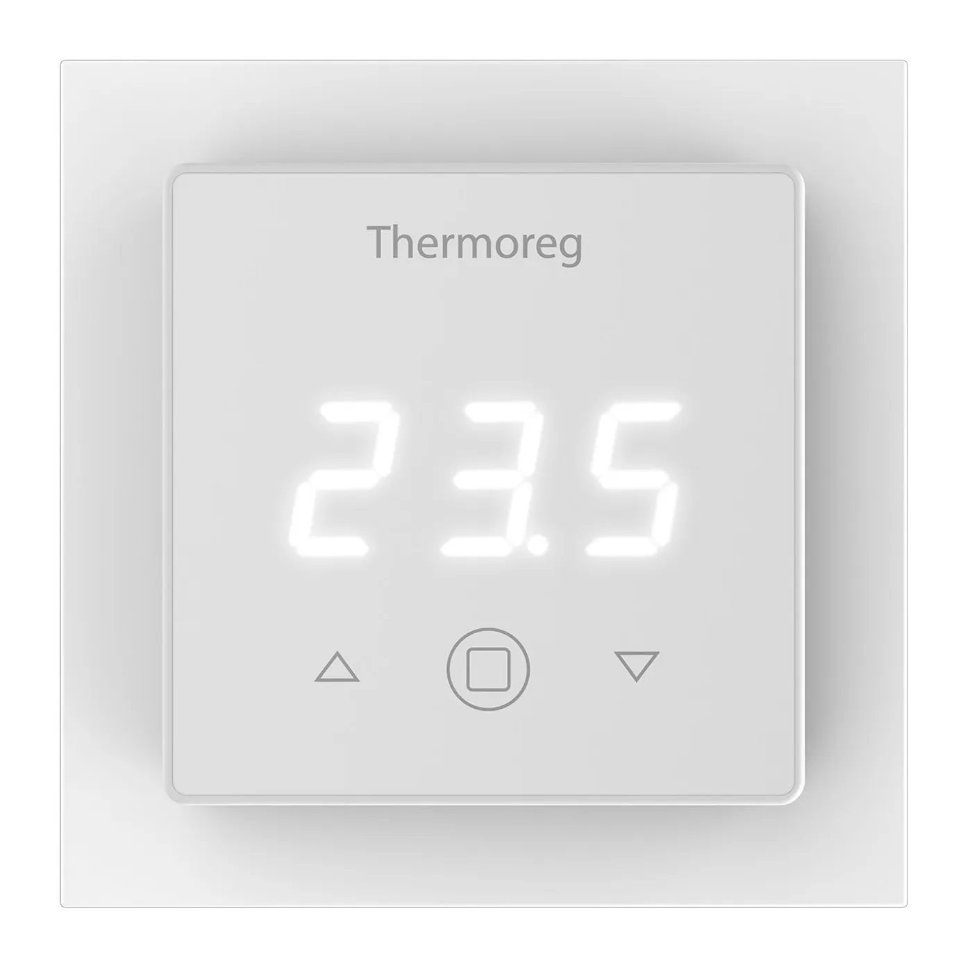 Изображение товара Терморегулятор Thermoreg TI-300